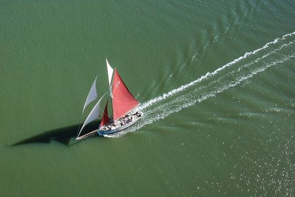 alice_drone_measea(1).JPG